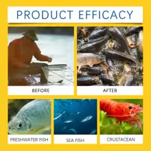 Red Worm Bait Fish Attractant High Concentration Fish Bait Attractant Enhancer Liquid Strong Scented Fish Attractants