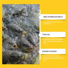 Red Worm Bait Fish Attractant High Concentration Fish Bait Attractant Enhancer Liquid Strong Scented Fish Attractants
